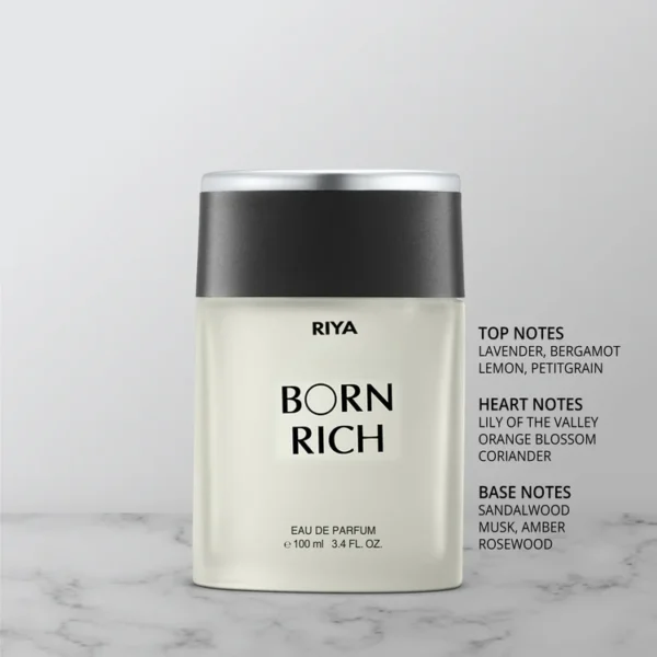 Riya Born Rich | Men's Perfume | 100 ml Eau De Parfum - Image 3